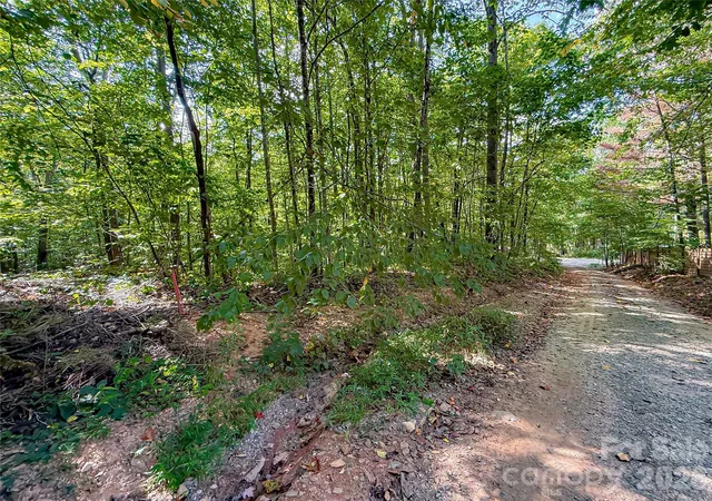 Photo 2 of Land for sale at 99999 High Top Mountain Rd #3, Leicester, NC 28748 | MLS# 4425131 | Listing updated on 2026-09-16