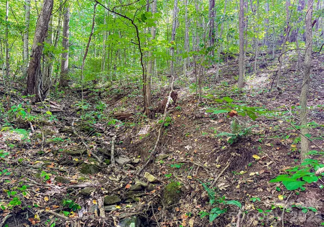 Photo 3 of Land for sale at 99999 High Top Mountain Rd #LOTS 1, 2 & 3, Leicester, NC 28748 | MLS# 4425137 | Listing updated on 2026-09-16