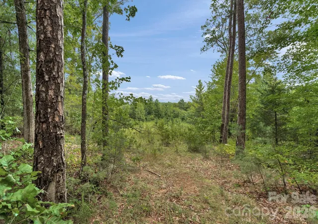 Land for sale at 00 Mountain Rd, Cleveland, NC 27013 | MLS# 4425143