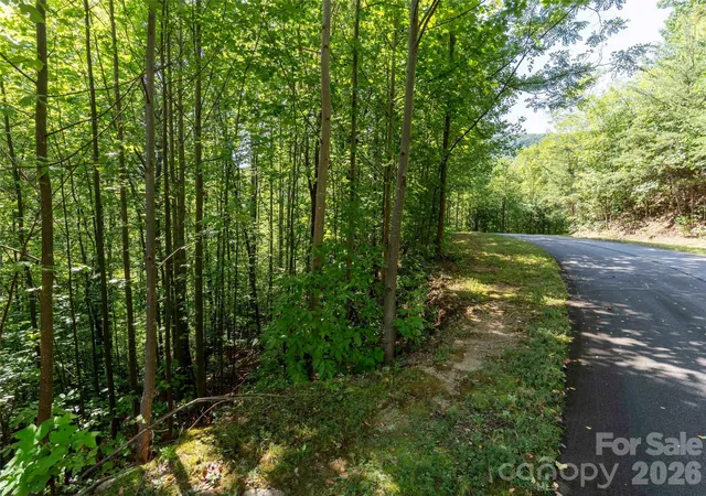 Photo 2 of Land for sale at 0 Anthony Ct #2070, Mill Spring, NC 28756 | MLS# 4425264 | Listing updated on 2026-09-26