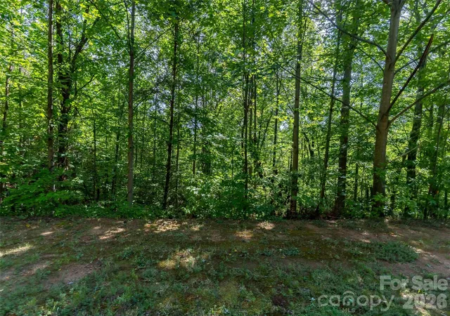 Photo 3 of Land for sale at 0 Anthony Ct #2070, Mill Spring, NC 28756 | MLS# 4425264 | Listing updated on 2026-09-26