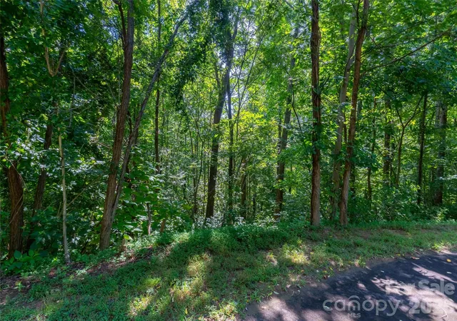 Photo 4 of Land for sale at 0 Harm Crk Loop #2142, Mill Spring, NC 28756 | MLS# 4425274 | Listing updated on 2026-09-26