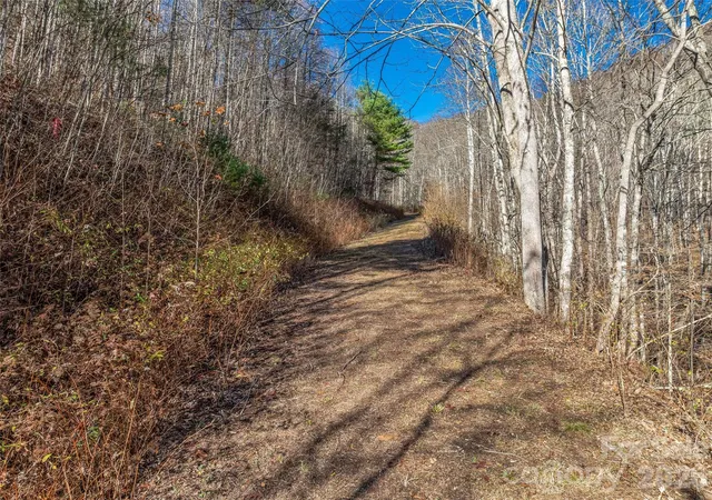 Photo 2 of Land for sale at Tbd Walnut Crk Rd, Marshall, NC 28753 | MLS# 4425280 | Listing updated on 2026-10-03