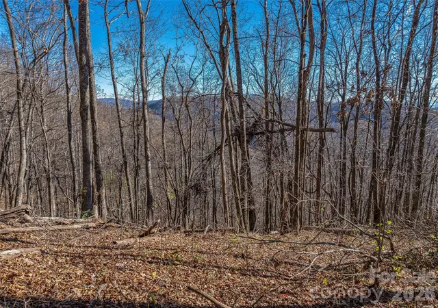Photo 3 of Land for sale at Tbd Walnut Crk Rd, Marshall, NC 28753 | MLS# 4425280 | Listing updated on 2026-10-03