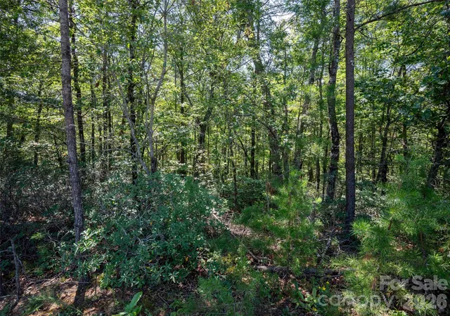 Photo 4 of Land for sale at 0 Deep Gap Farm Rd W #2007, Mill Spring, NC 28756 | MLS# 4425287 | Listing updated on 2026-09-26