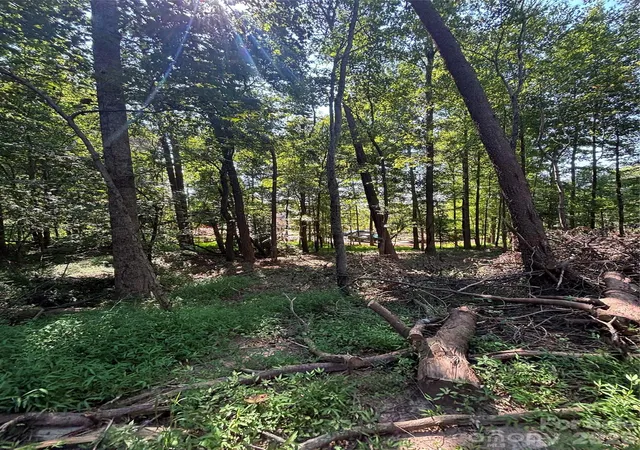 Photo 3 of Land for sale at 000 Pineview Ct, Tryon, NC 28782 | MLS# 4425340 | Listing updated on 2026-09-23