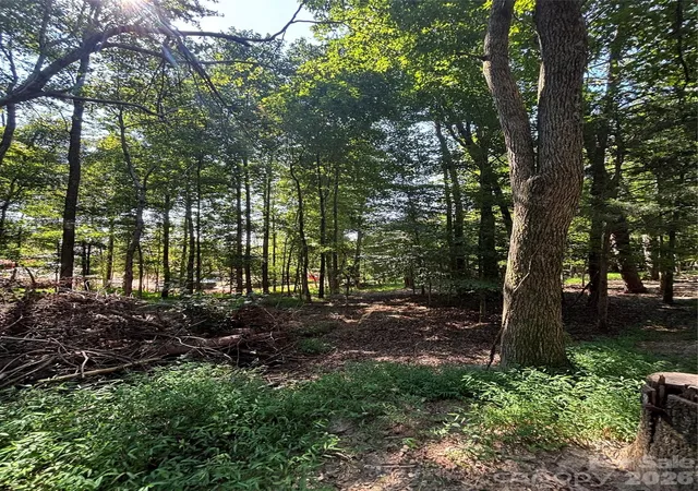 Photo 4 of Land for sale at 000 Pineview Ct, Tryon, NC 28782 | MLS# 4425340 | Listing updated on 2026-09-23