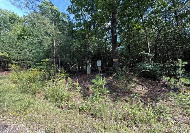 Photo 2 of Land for sale at Tbd Wolf Pen Rd #24, Purlear, NC 28665 | MLS# 4425344 | Listing updated on 2026-09-21
