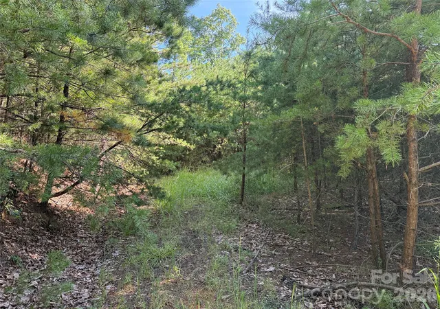 Photo 3 of Land for sale at Tbd Wolf Pen Rd #24, Purlear, NC 28665 | MLS# 4425344 | Listing updated on 2026-09-21