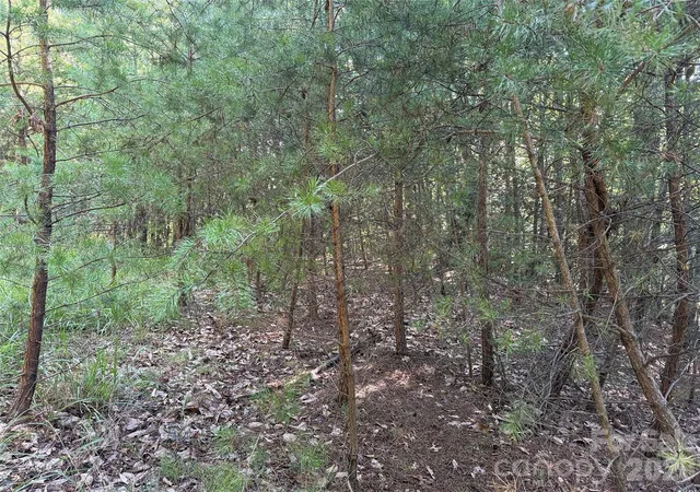 Photo 4 of Land for sale at Tbd Wolf Pen Rd #24, Purlear, NC 28665 | MLS# 4425344 | Listing updated on 2026-09-21