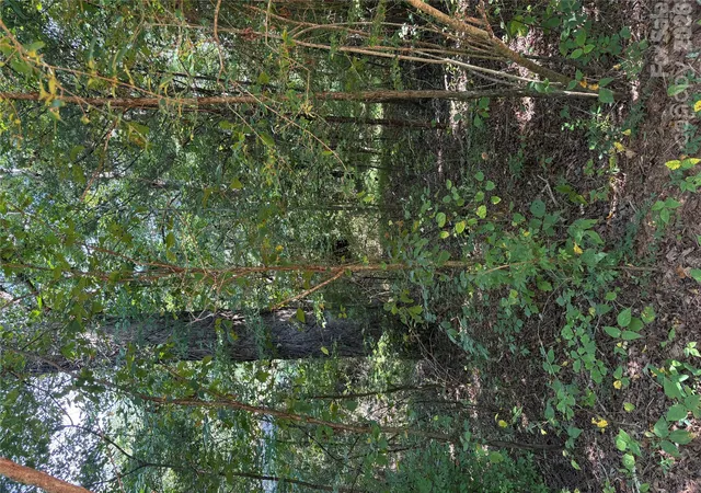 Photo 1 of Land for sale at Tbd Bedford Crk Rd, Ellenboro, NC 28040 | MLS# 4425353 | Listing updated on 2026-10-08