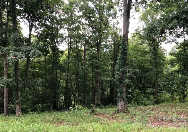 Photo 1 of Land for sale at 45 Sweet Fern Pkwy #43, Asheville, NC 28804 | MLS# 4425484 | Listing updated on 2026-10-03