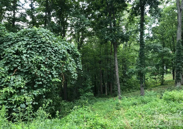 Photo 2 of Land for sale at 45 Sweet Fern Pkwy #43, Asheville, NC 28804 | MLS# 4425484 | Listing updated on 2026-10-03