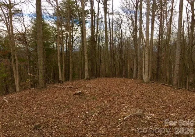 Photo 3 of Land for sale at 45 Sweet Fern Pkwy #43, Asheville, NC 28804 | MLS# 4425484 | Listing updated on 2026-10-03