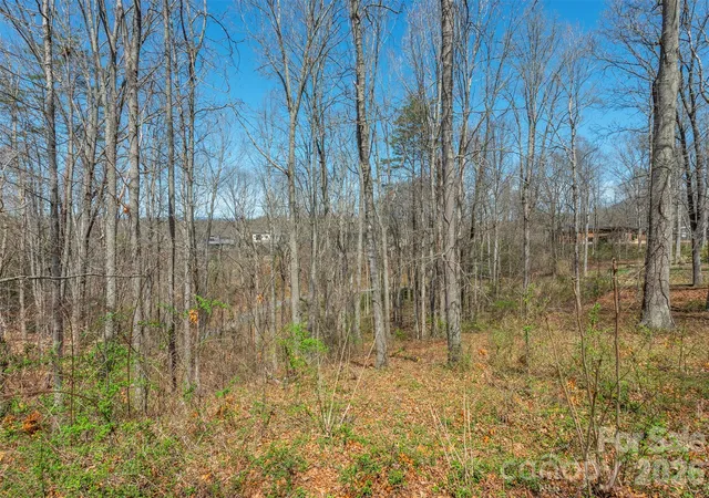 Photo 4 of Land for sale at 45 Sweet Fern Pkwy #43, Asheville, NC 28804 | MLS# 4425484 | Listing updated on 2026-10-03