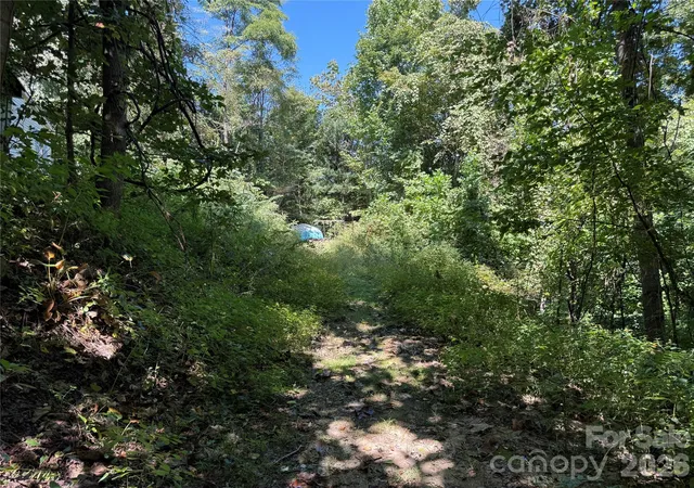 Photo 9 of Single family home for sale at 137 Nancy Mountain Rd, Rosman, NC 28772 | MLS# 4425697 | Listing updated on 2026-10-06