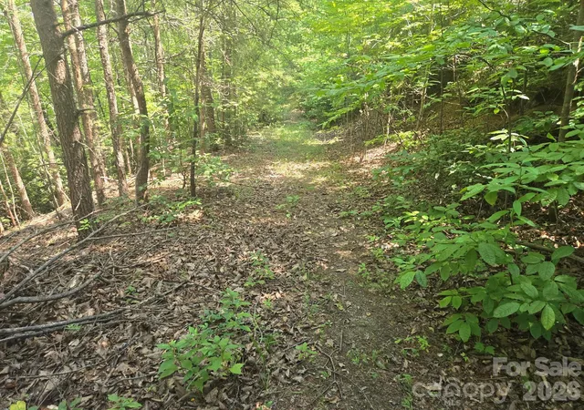 Photo 3 of Land for sale at Lot 1 & 2 Eagles Crst Way, Lake Lure, NC 28746 | MLS# 4425750 | Listing updated on 2026-09-22