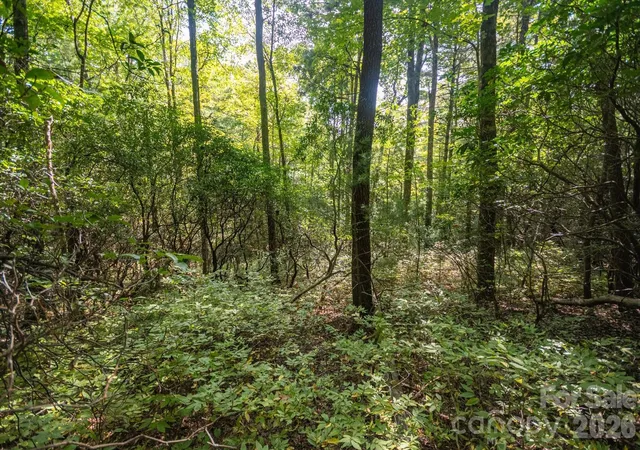 Photo 3 of Land for sale at Tbd Blue Ridge Rd, Lake Toxaway, NC 28747 | MLS# 4425843 | Listing updated on 2026-10-01