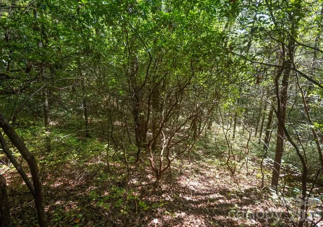 Photo 3 of Land for sale at Tbd Blue Ridge Rd, Lake Toxaway, NC 28747 | MLS# 4425843 | Listing updated on 2026-10-01