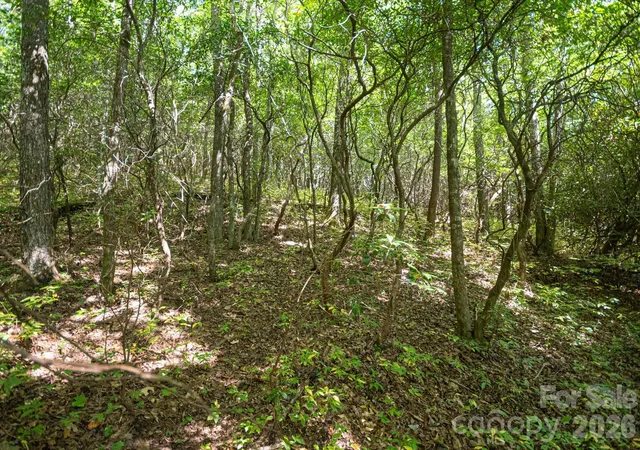 Photo 4 of Land for sale at Tbd Blue Ridge Rd, Lake Toxaway, NC 28747 | MLS# 4425843 | Listing updated on 2026-10-01