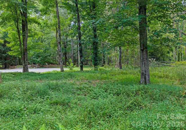 Photo 3 of Land for sale at 0 Riverlinks Dr #6, Burnsville, NC 28714 | MLS# 4425914 | Listing updated on 2026-09-24