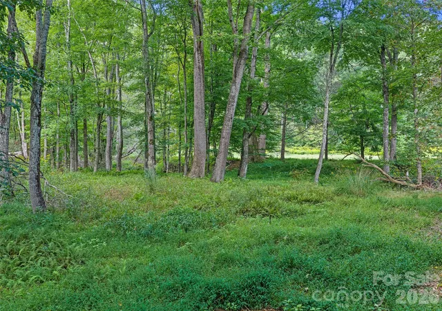 Photo 3 of Land for sale at 0 Riverlinks Dr #6, Burnsville, NC 28714 | MLS# 4425914 | Listing updated on 2026-09-24