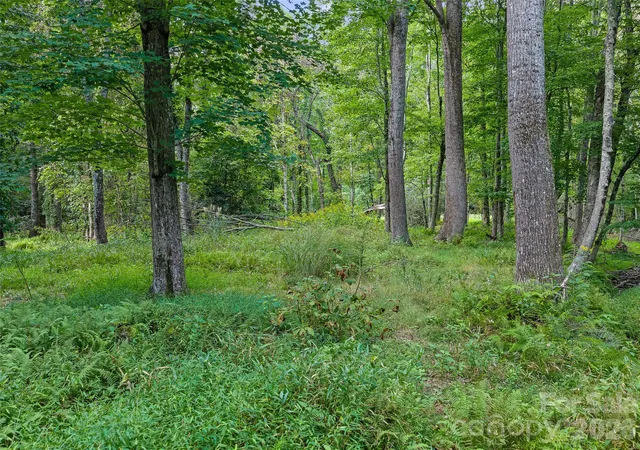 Photo 4 of Land for sale at 0 Riverlinks Dr #6, Burnsville, NC 28714 | MLS# 4425914 | Listing updated on 2026-09-24