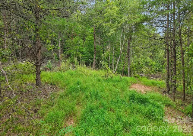Photo 3 of Land for sale at 00 Clubhouse Rd, Lake Lure, NC 28746 | MLS# 4425927 | Listing updated on 2026-09-21