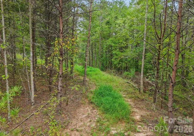 Photo 4 of Land for sale at 00 Clubhouse Rd, Lake Lure, NC 28746 | MLS# 4425927 | Listing updated on 2026-09-21