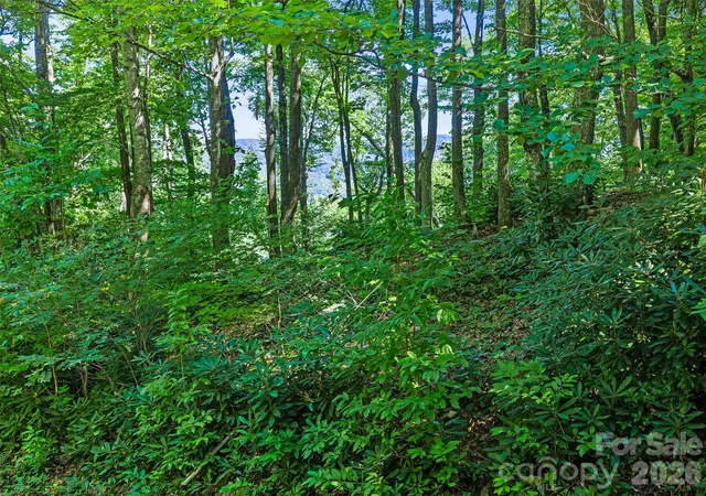 Photo 3 of Land for sale at 0 Big Ridge Rd #31, Burnsville, NC 28714 | MLS# 4425986 | Listing updated on 2026-09-24