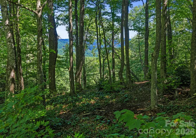 Photo 4 of Land for sale at 0 Big Ridge Rd #31, Burnsville, NC 28714 | MLS# 4425986 | Listing updated on 2026-09-24