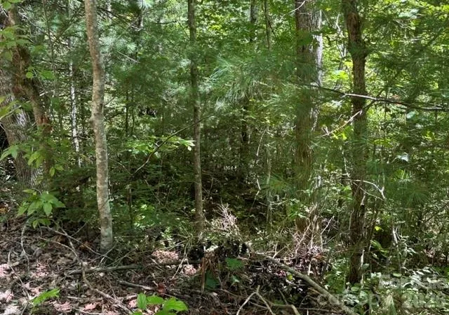 Photo 3 of Land for sale at Tbd Doris Lisa View Dr, Hendersonville, NC 28792 | MLS# 4426050 | Listing updated on 2026-09-29