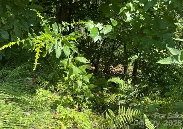 Photo 1 of Land for sale at Tbd Jane Ln, Hendersonville, NC 28792 | MLS# 4426075 | Listing updated on 2026-09-18