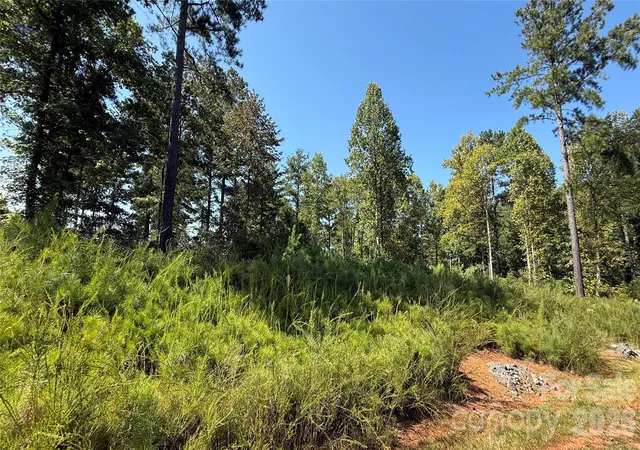 Photo 2 of Land for sale at 2119 Jumping Run #185, Connellys Springs, NC 28612 | MLS# 4426093 | Listing updated on 2026-09-23