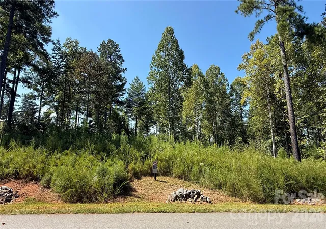 Photo 3 of Land for sale at 2119 Jumping Run #185, Connellys Springs, NC 28612 | MLS# 4426093 | Listing updated on 2026-09-23