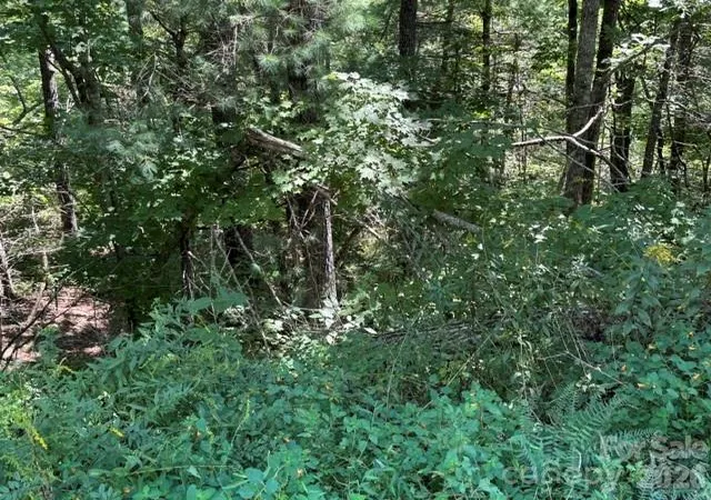Photo 1 of Land for sale at Tbd Jarvis Dr, Hendersonville, NC 28792 | MLS# 4426121 | Listing updated on 2026-09-18