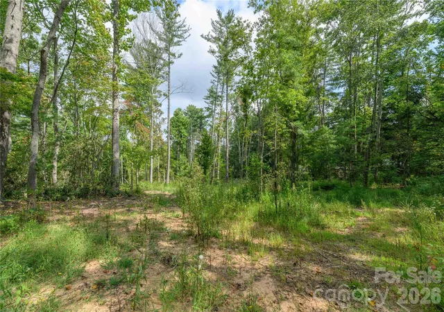 Photo 2 of Land for sale at 9999 Old Concord Rd #2, Fletcher, NC 28732 | MLS# 4426130 | Listing updated on 2026-09-24