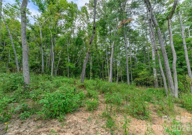 Photo 3 of Land for sale at 9999 Old Concord Rd #2, Fletcher, NC 28732 | MLS# 4426130 | Listing updated on 2026-09-24