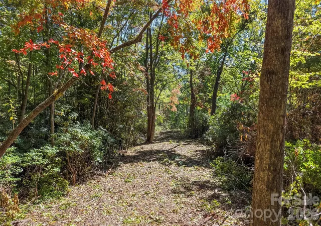 Photo 3 of Land for sale at 605 Lower Loop Dr, Fletcher, NC 28732 | MLS# 4426151 | Listing updated on 2026-10-14