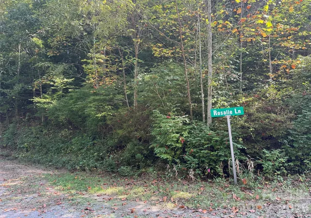 Photo 2 of Land for sale at 000 Bobcat Rd, Waynesville, NC 28785 | MLS# 4426177 | Listing updated on 2026-09-21