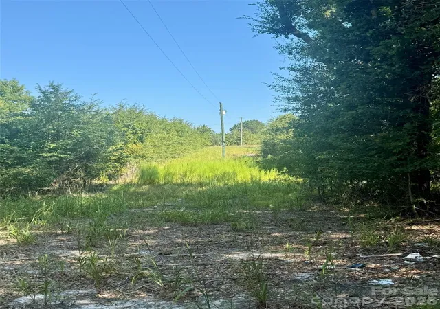 Photo 1 of Land for sale at 0000 Newman Ln, Jefferson, SC 29718 | MLS# 4426355 | Listing updated on 2026-10-14