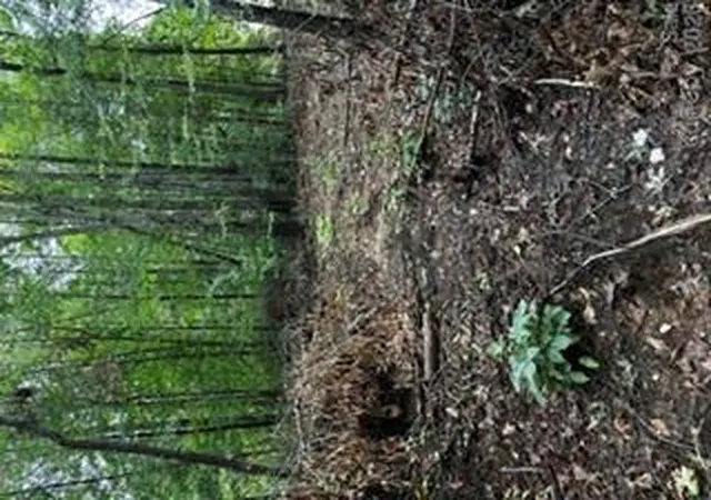 Land for sale at 7668 Long Bay Pkwy, Catawba, NC 28609 | MLS# 4426468