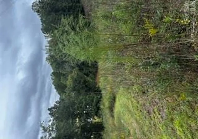 Photo 3 of Land for sale at 7668 Long Bay Pkwy, Catawba, NC 28609 | MLS# 4426468 | Listing updated on 2026-09-30
