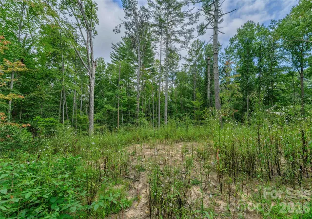 Photo 2 of Land for sale at 9999 Old Concord Rd #3, Fletcher, NC 28732 | MLS# 4426502 | Listing updated on 2026-09-24