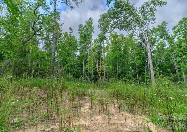 Photo 3 of Land for sale at 9999 Old Concord Rd #3, Fletcher, NC 28732 | MLS# 4426502 | Listing updated on 2026-09-24