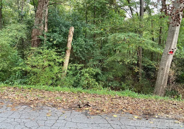Land for sale at 0 Slayton St, Whitmire, SC 29178 | MLS# 4426511