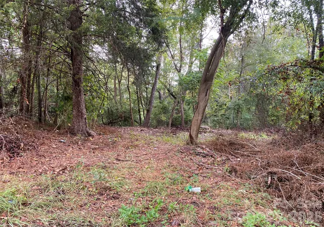 Photo 3 of Land for sale at 0 Slayton St, Whitmire, SC 29178 | MLS# 4426511 | Listing updated on 2026-09-23