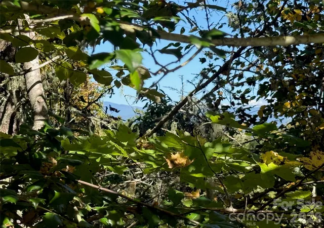 Photo 21 of Single family home for sale at 701 Possum Holler Dr, Bryson City, NC 28713 | MLS# 4426513 | Listing updated on 2026-10-09