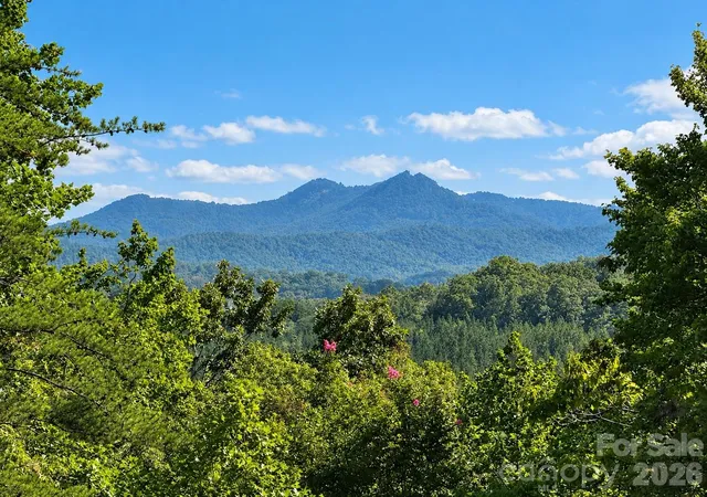 Photo 2 of Single family home for sale at 715 Boland Dr, Lake Lure, NC 28746 | MLS# 4426532 | Listing updated on 2026-09-23