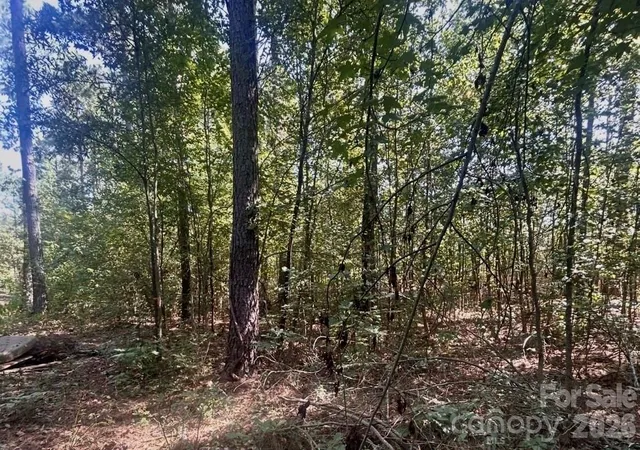Photo 3 of Land for sale at 1216 Ross Rd, Blackstock, SC 29014 | MLS# 4426590 | Listing updated on 2026-09-24